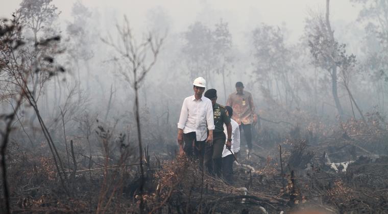 Rupiah Bablas Rp16.000/1USD, Jokowi Ngacir ke Kalimantan Melihat Asap
