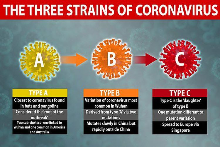 Peneliti: Virus Corona Terus Bermutasi
