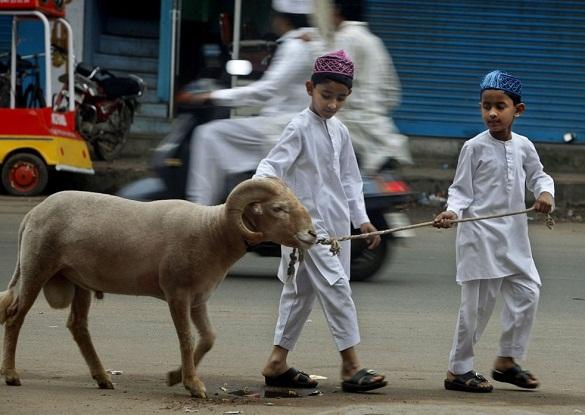 Menjadikan Ibadah Qurban Lebih Bermakna