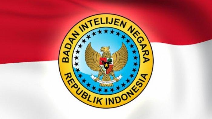 PAHAM Indonesia: BIN Jangan Sampai Offside