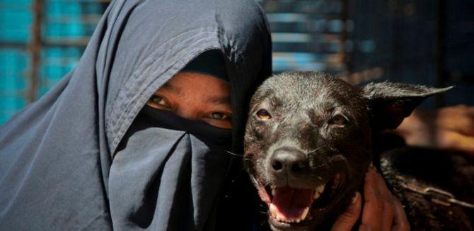 Soal Perempuan Cadar Pelihara Anjing, HMI MPO Bireuen: Hukum Islam Tidak Boleh Dipermainkan