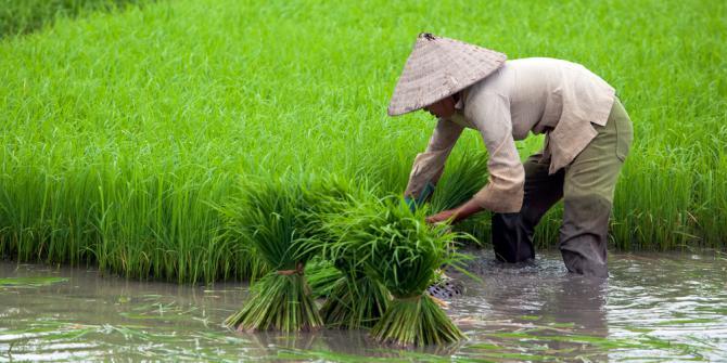 Petani Tidak Sejahtera karena Tidak Punya Lahan Bertani