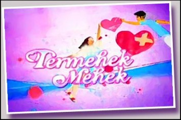 Termehek-MehekTV Reality Show Popular 2011 Disukai Pemirsa, Rekayasa? Termehek-MehekTV Reality Show Popular 2011 Disukai Pemirsa, Rekayasa?