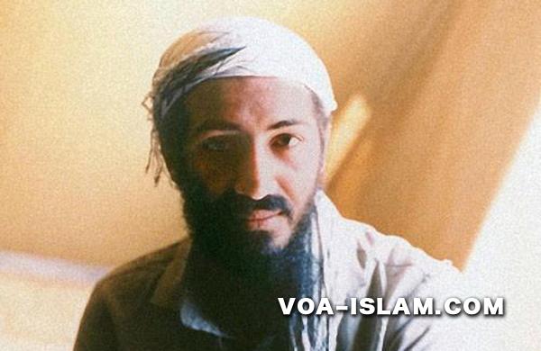 Syaikh Usamah Bin Ladin, 'Singa Islam' yang Lembut Hatinya