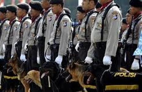 Polri Alokasikan Dana 13,5 Miliar Rupiah untuk Beli Anjing