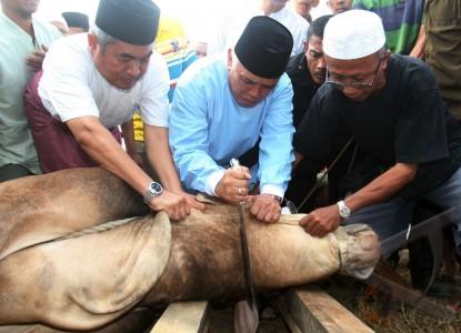 Paling Afdhal, Pengurban Menyembelih Sendiri Hewan Kurbannya