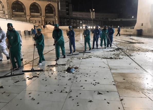 Kawanan Besar Belalang Hitam 'Serbu' Masjidil Haram Mekkah