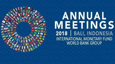 Kehadiran IMF Petaka untuk Indonesia 
