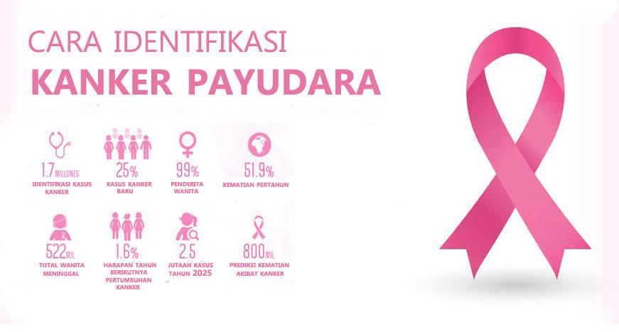 Peringatan untuk Wanita; Lemak Perut Tingkatkan Risiko Kanker Payudara